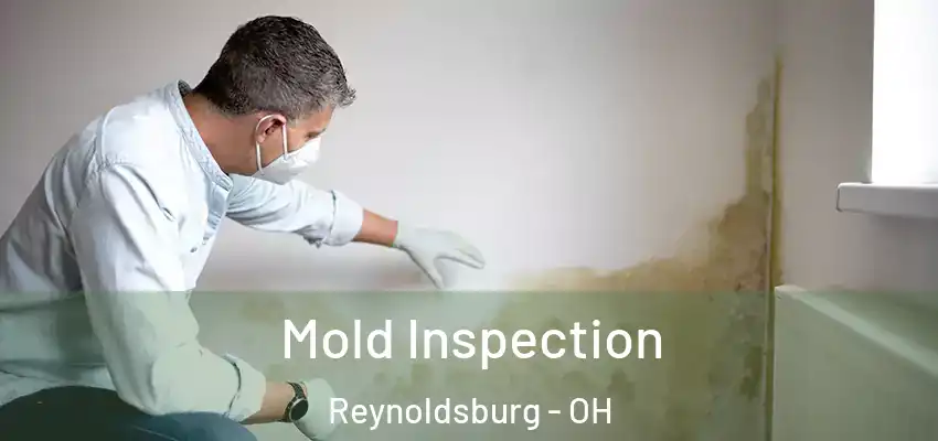  Mold Inspection Reynoldsburg - OH
