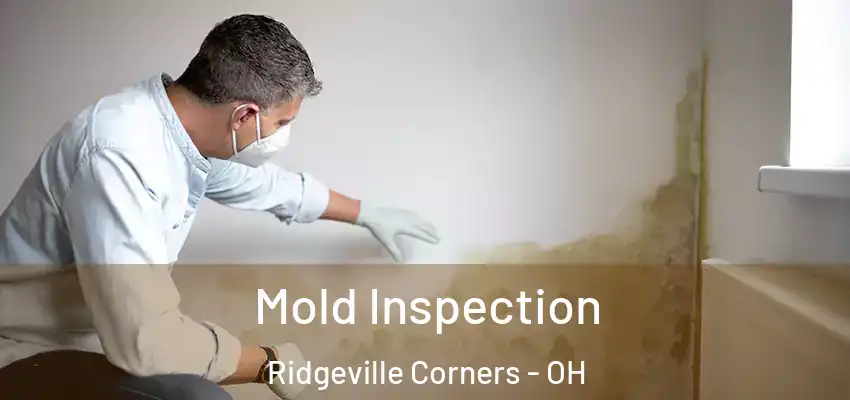  Mold Inspection Ridgeville Corners - OH