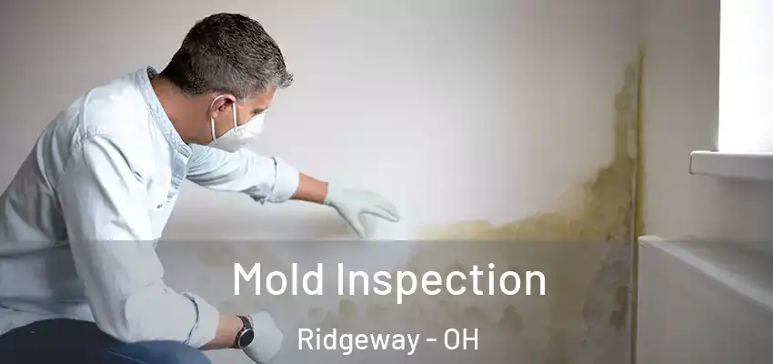  Mold Inspection Ridgeway - OH