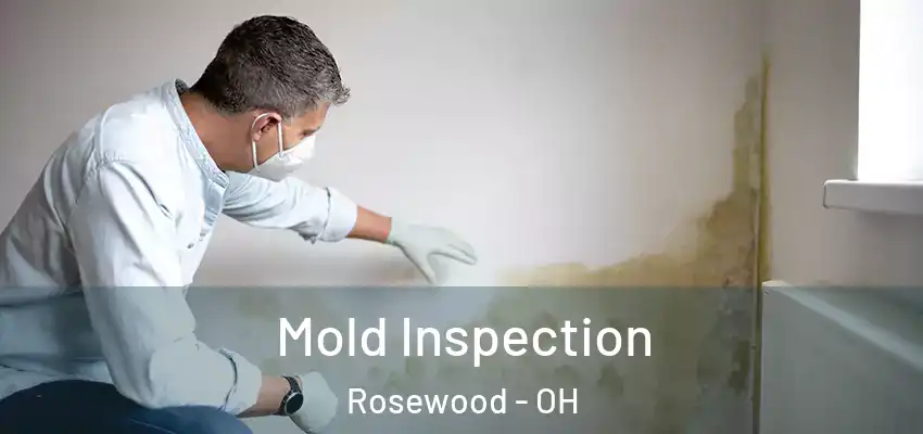  Mold Inspection Rosewood - OH
