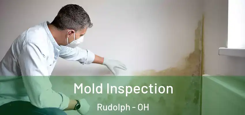 Mold Inspection Rudolph - OH