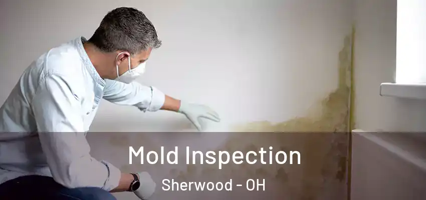 Mold Inspection Sherwood - OH