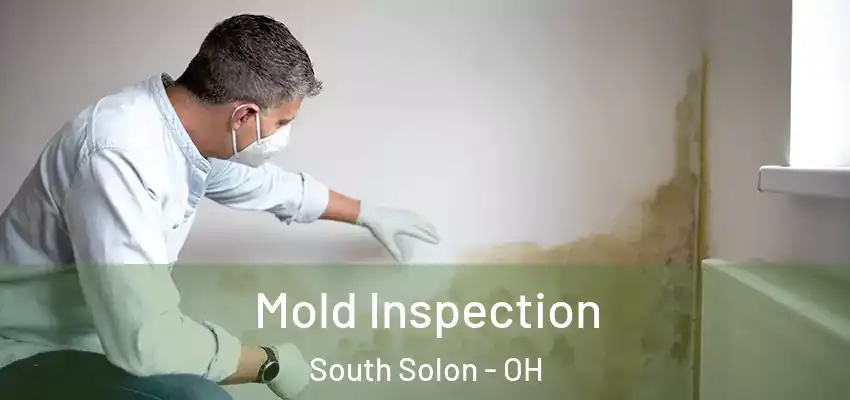  Mold Inspection South Solon - OH