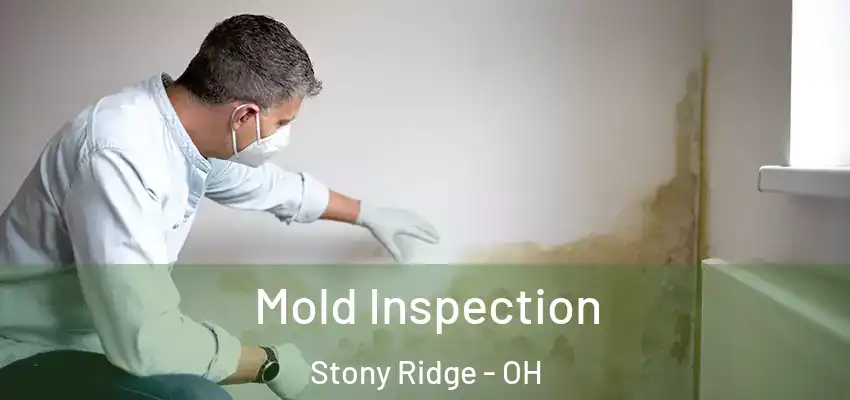  Mold Inspection Stony Ridge - OH