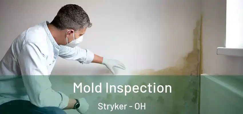  Mold Inspection Stryker - OH
