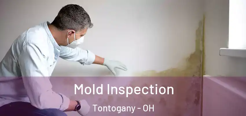  Mold Inspection Tontogany - OH