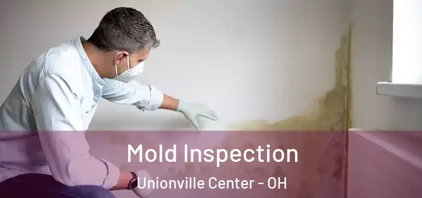  Mold Inspection Unionville Center - OH