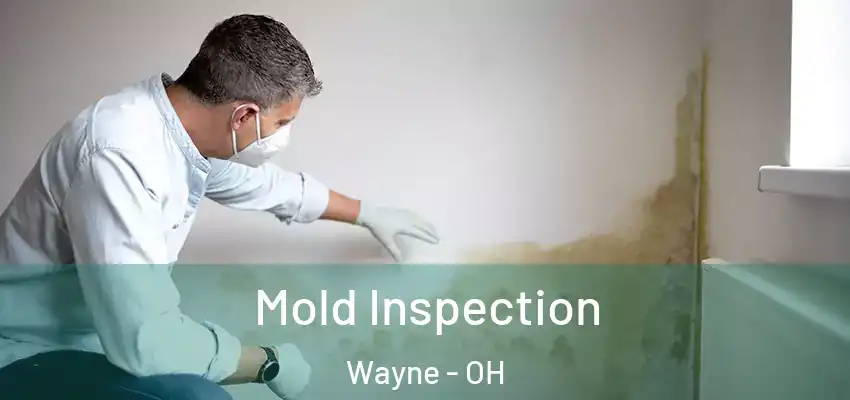 Mold Inspection Wayne - OH