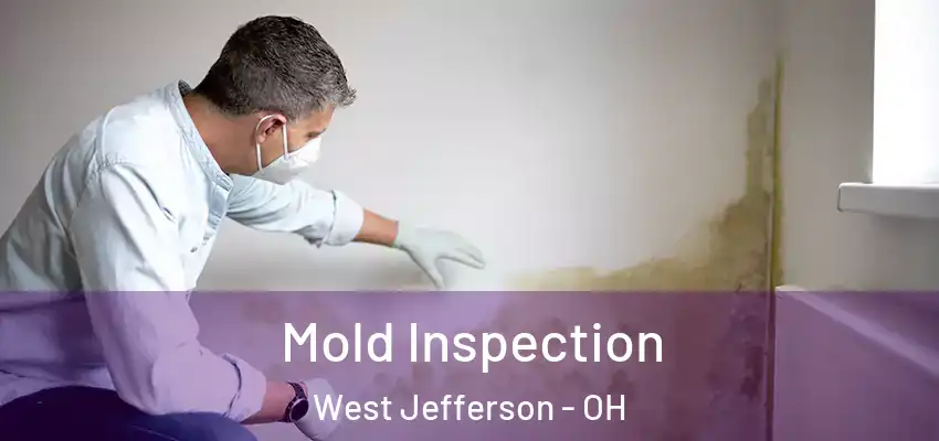 Mold Inspection West Jefferson - OH