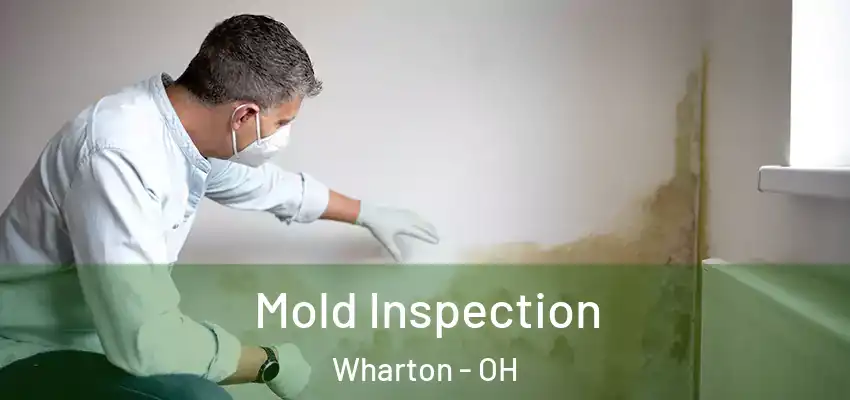  Mold Inspection Wharton - OH