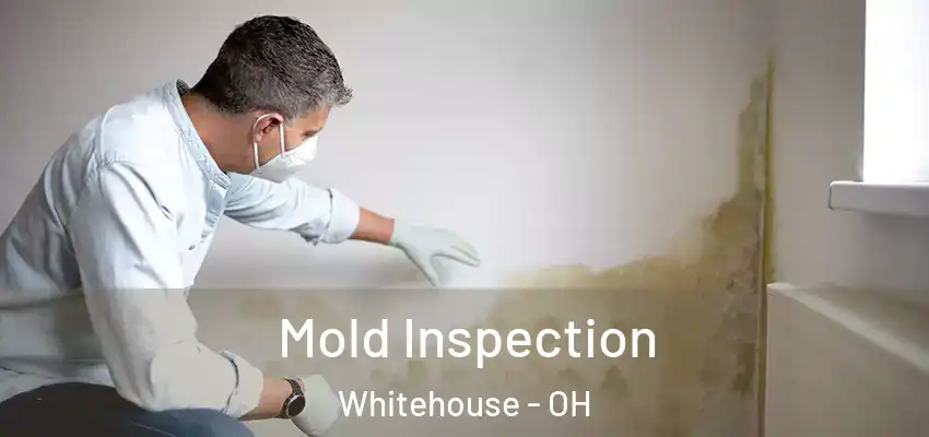  Mold Inspection Whitehouse - OH