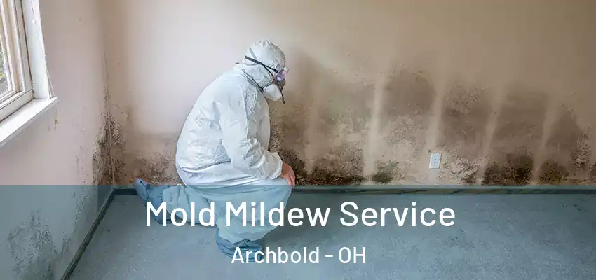  Mold Mildew Service Archbold - OH