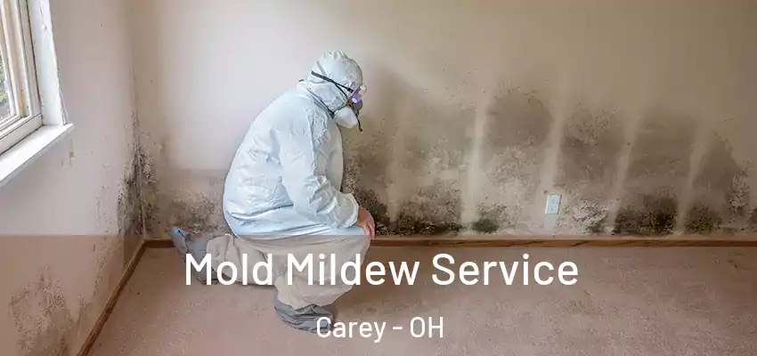  Mold Mildew Service Carey - OH