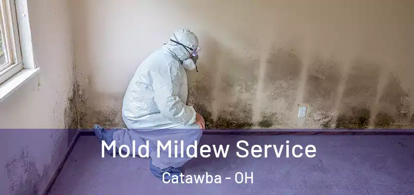  Mold Mildew Service Catawba - OH