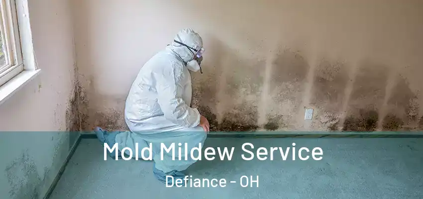  Mold Mildew Service Defiance - OH