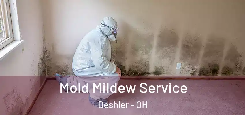 Mold Mildew Service Deshler - OH