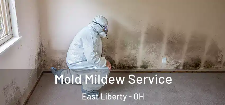  Mold Mildew Service East Liberty - OH