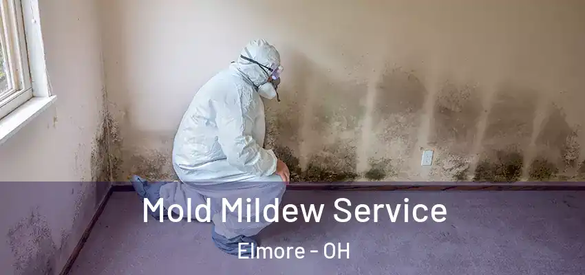  Mold Mildew Service Elmore - OH