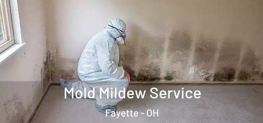  Mold Mildew Service Fayette - OH