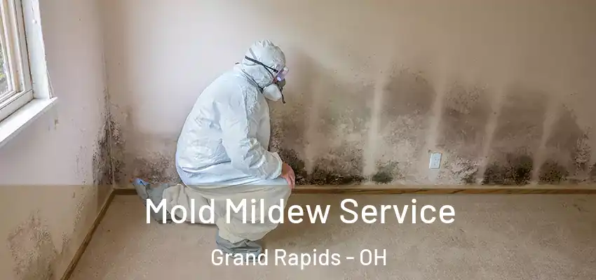 Mold Mildew Service Grand Rapids - OH
