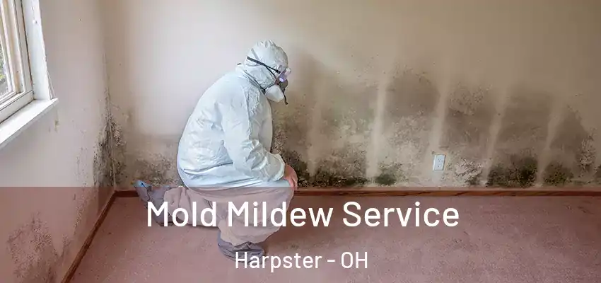  Mold Mildew Service Harpster - OH