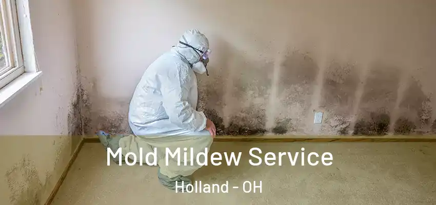  Mold Mildew Service Holland - OH