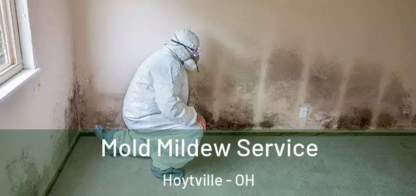  Mold Mildew Service Hoytville - OH