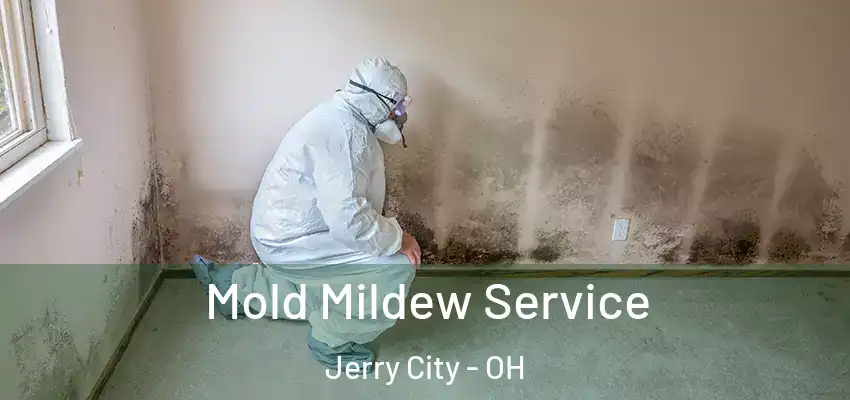 Mold Mildew Service Jerry City - OH
