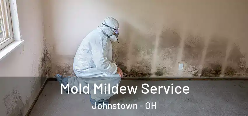 Mold Mildew Service Johnstown - OH