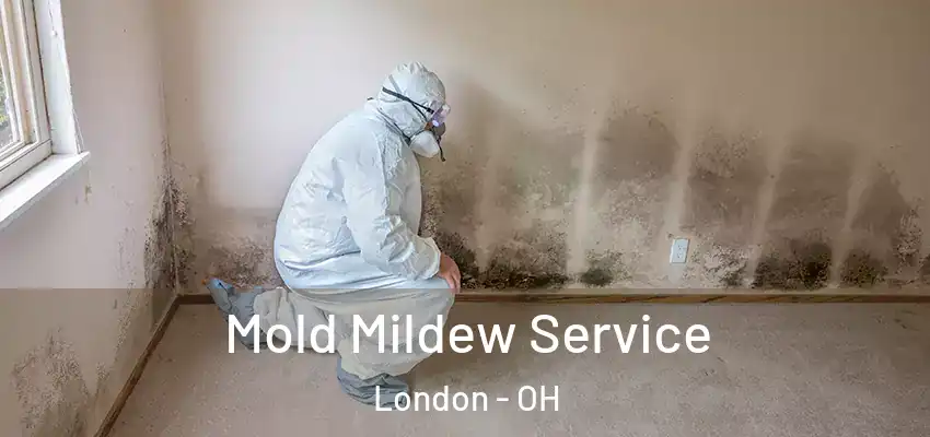  Mold Mildew Service London - OH
