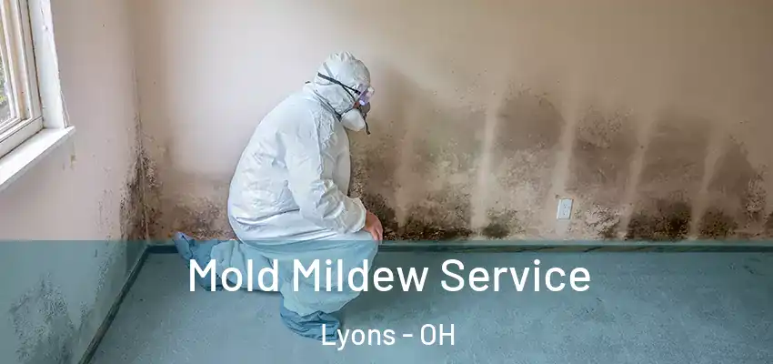 Mold Mildew Service Lyons - OH