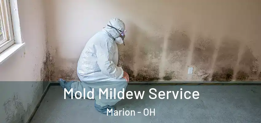 Mold Mildew Service Marion - OH