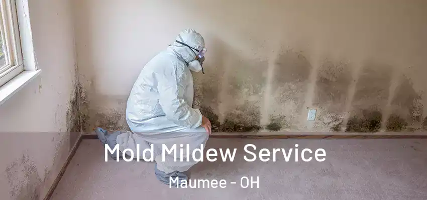  Mold Mildew Service Maumee - OH