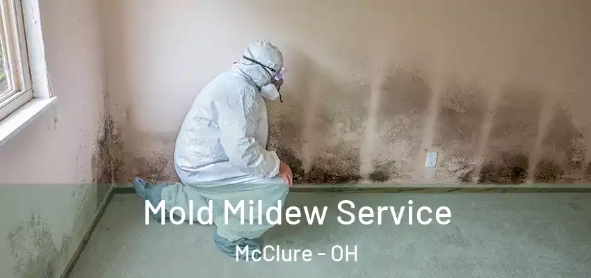 Mold Mildew Service McClure - OH
