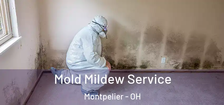 Mold Mildew Service Montpelier - OH
