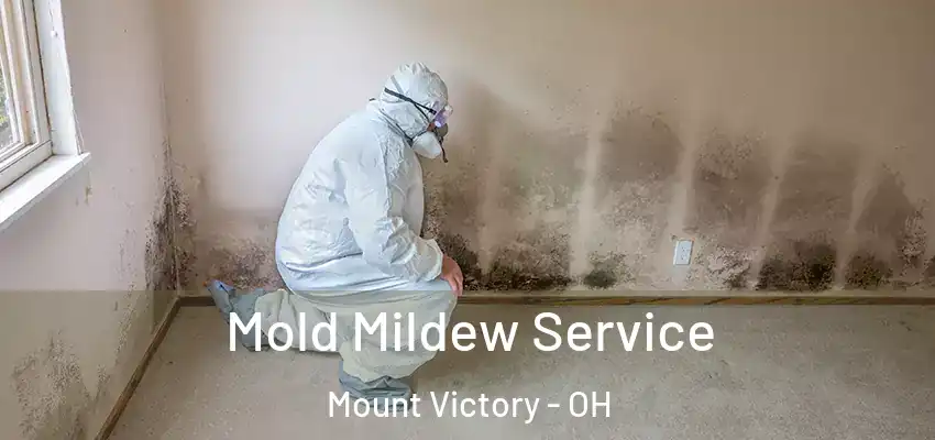 Mold Mildew Service Mount Victory - OH