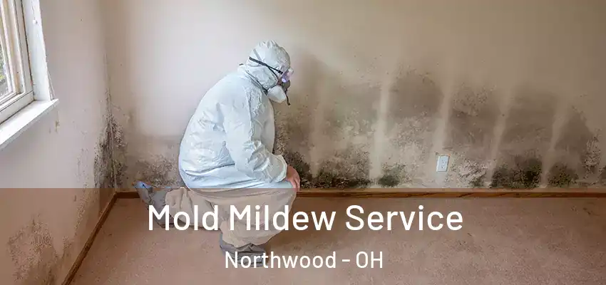  Mold Mildew Service Northwood - OH