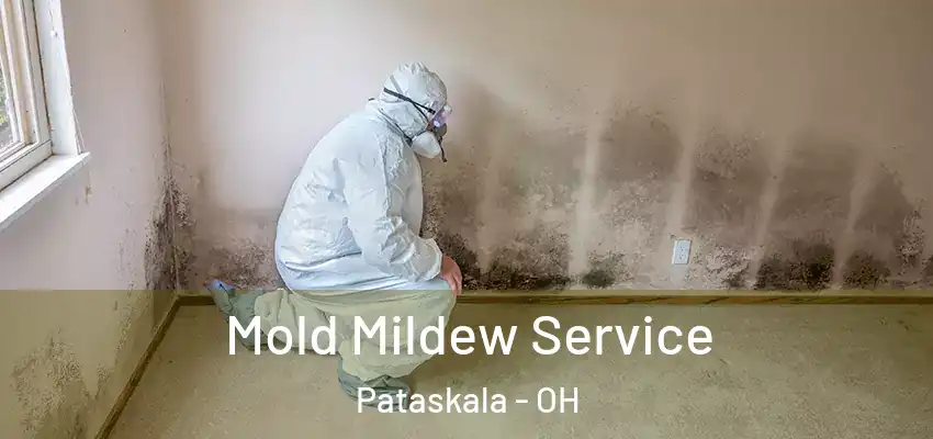  Mold Mildew Service Pataskala - OH