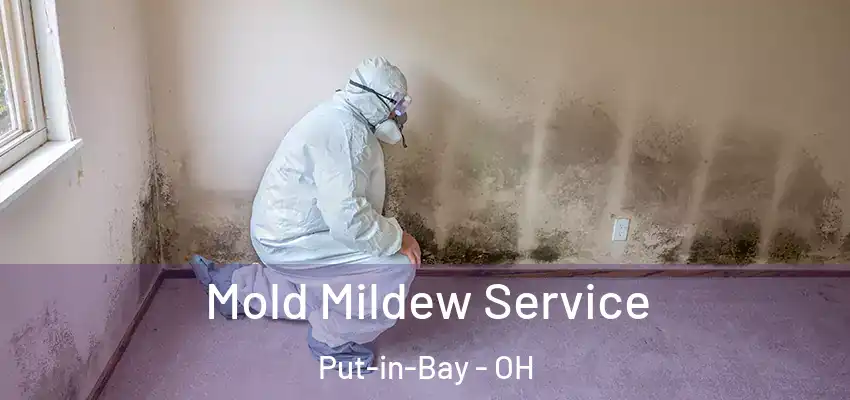 Mold Mildew Service Put-in-Bay - OH