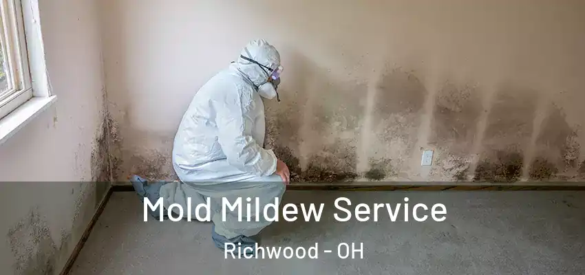 Mold Mildew Service Richwood - OH
