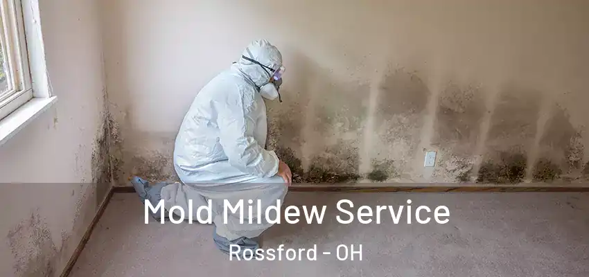  Mold Mildew Service Rossford - OH