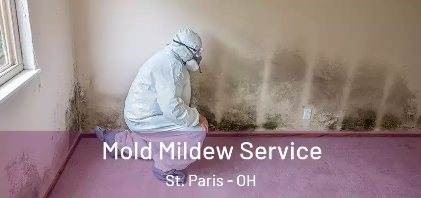  Mold Mildew Service St. Paris - OH