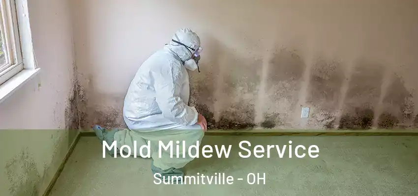  Mold Mildew Service Summitville - OH