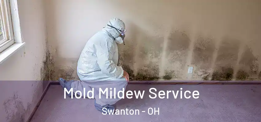  Mold Mildew Service Swanton - OH