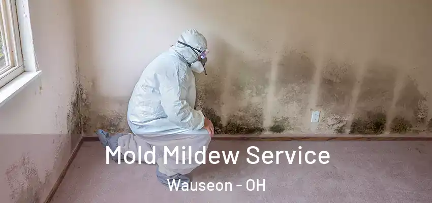 Mold Mildew Service Wauseon - OH