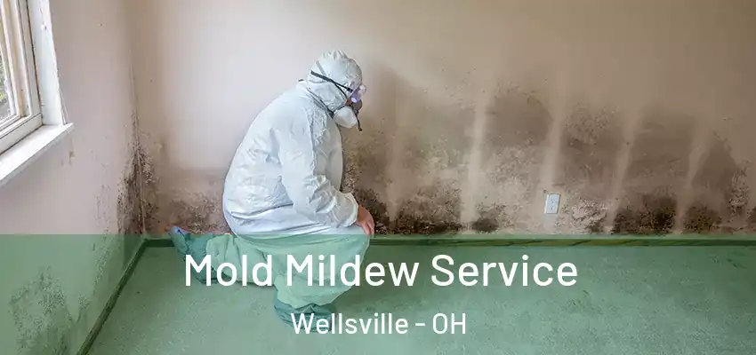  Mold Mildew Service Wellsville - OH