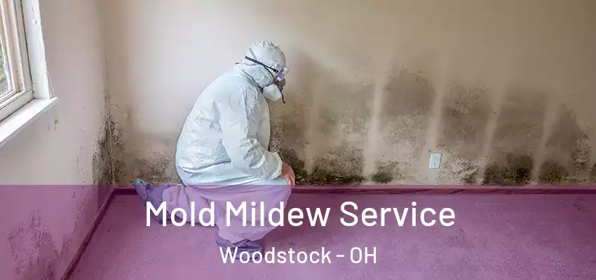  Mold Mildew Service Woodstock - OH