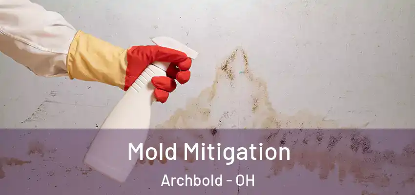 Mold Mitigation Archbold - OH
