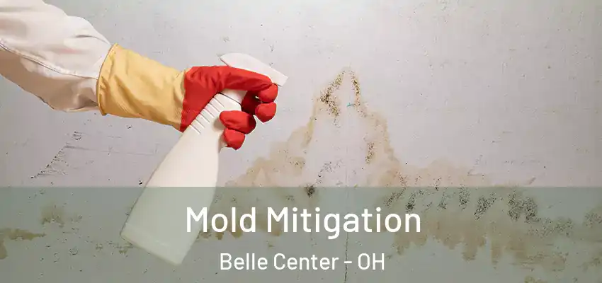  Mold Mitigation Belle Center - OH