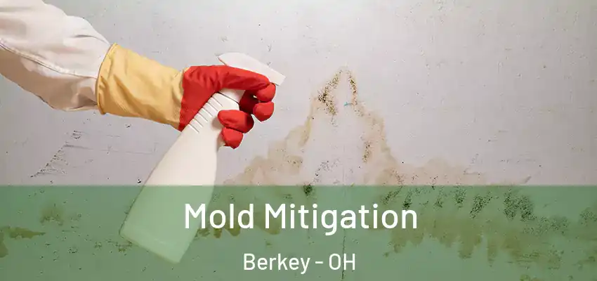 Mold Mitigation Berkey - OH